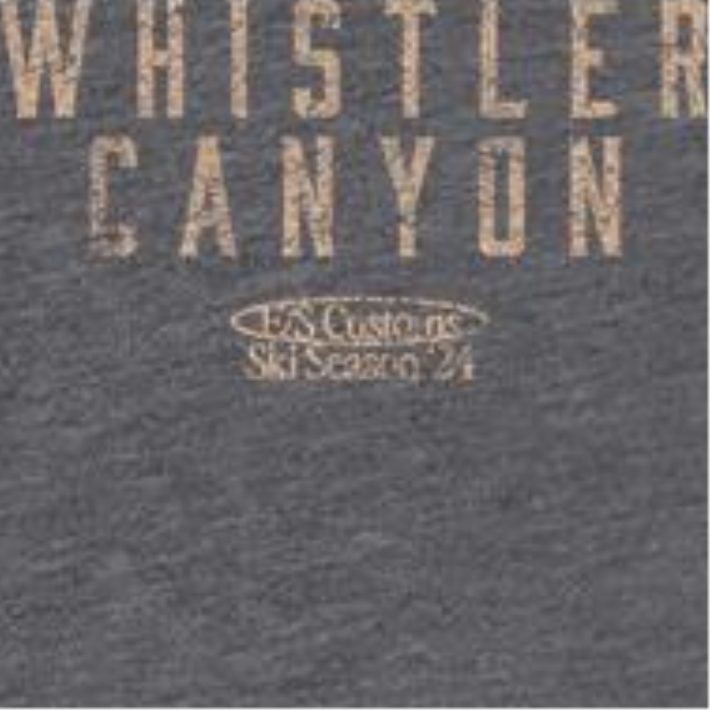 Skiing Whistler Dark Heather Front & Back Print T-Shirt Officially Licensed