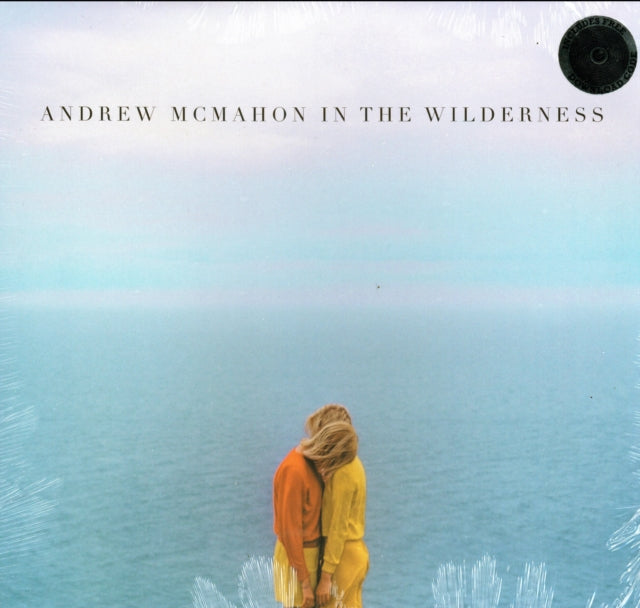 Andrew Mcmahon In The Wilderness Vinyl Record