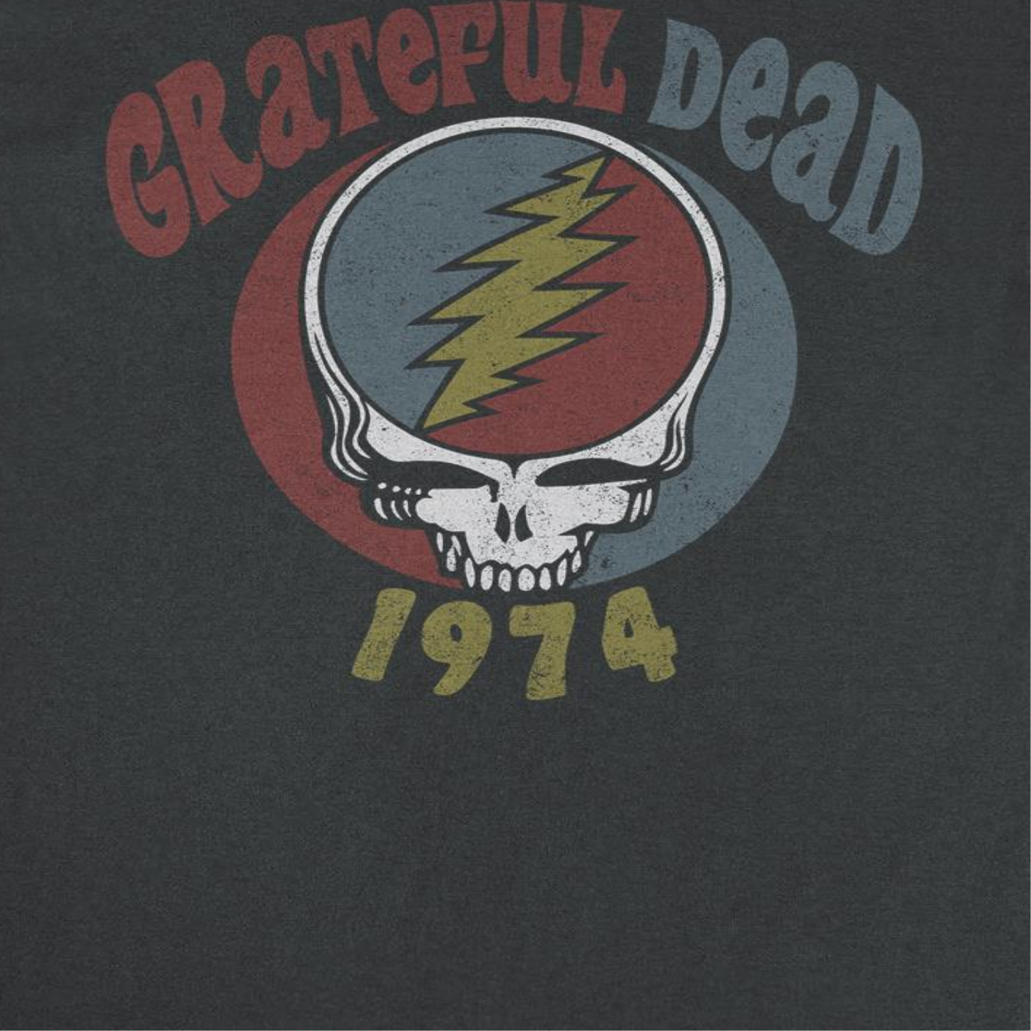 Grateful Dead Tour 73 Color Mens T Shirt Black Officially Licensed