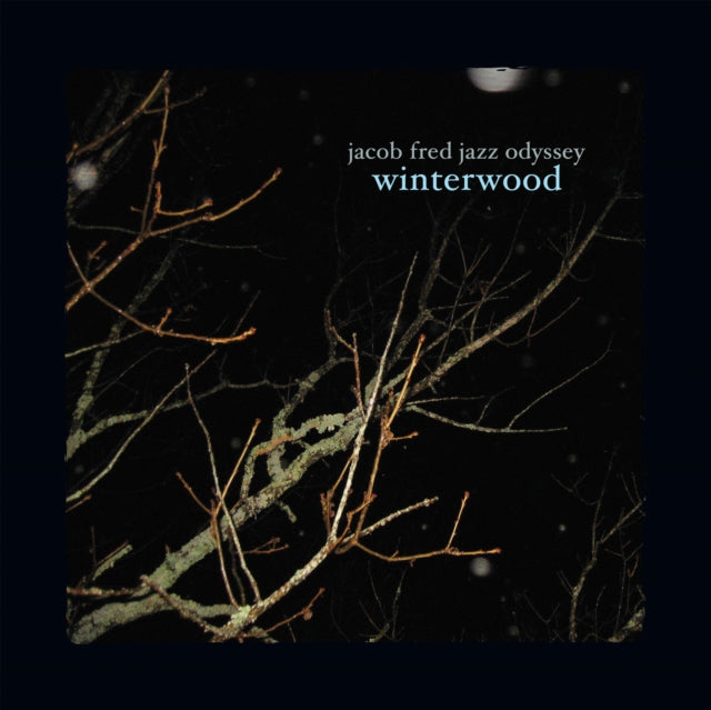 Winterwood Vinyl Record