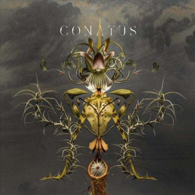 Joep Beving - Conatus Music CD