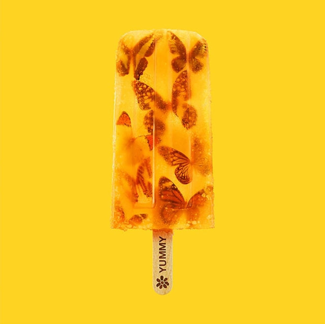 James - Yummy Music CD