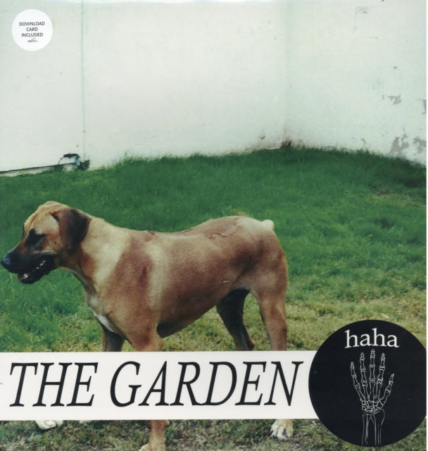Haha Vinyl Record