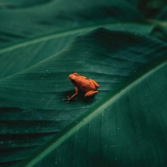 Ingredient - Ingredient - LP Vinyl Record