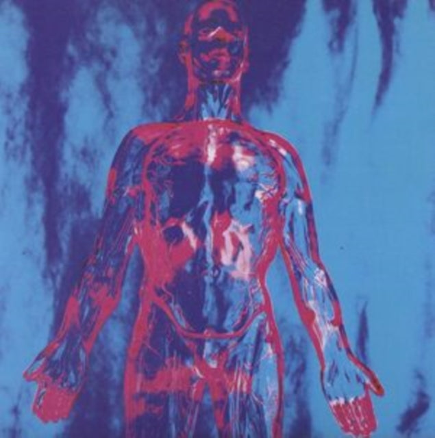 Nirvana - Sliver - 7 Inch Vinyl Record