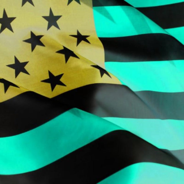 Happy Jawbone Family Band - Happy Jawbone Family Band - LP Vinyl Record