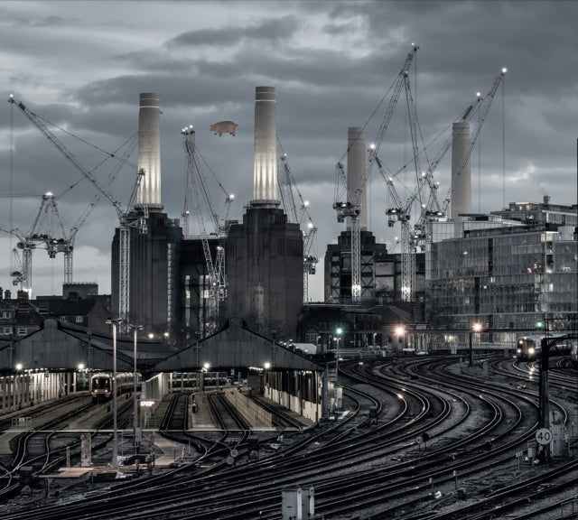 Animals (2018 Remix) (180G/LP/CD/Blu-Ray/DVD) Vinyl Record