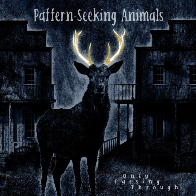 Pattern-Seeking Animals - Only Passing Through (2LP/CD) Vinyl Record