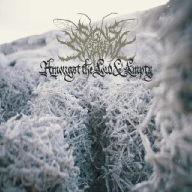 Signs Of The Swarm - Amongst The Low & Empty - LP Vinyl Record
