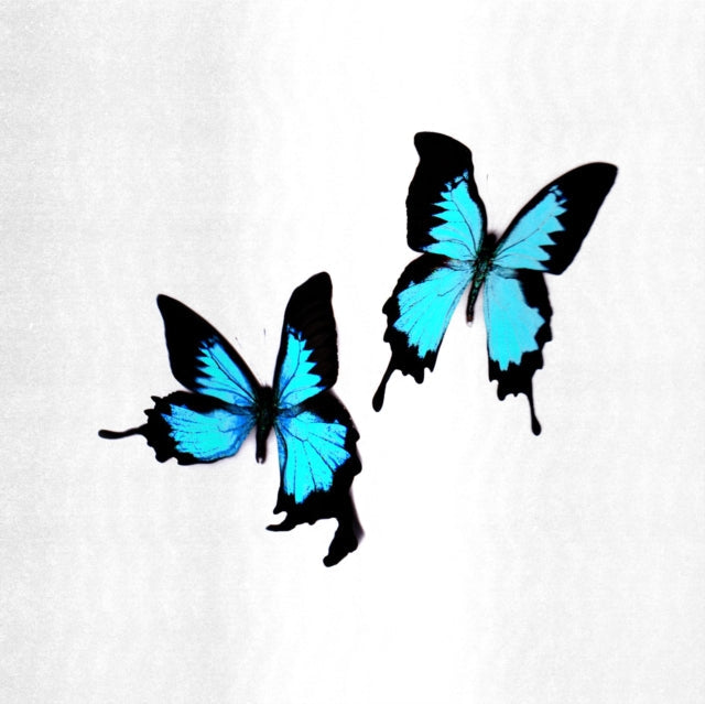 Korine - Tear - LP Vinyl Record