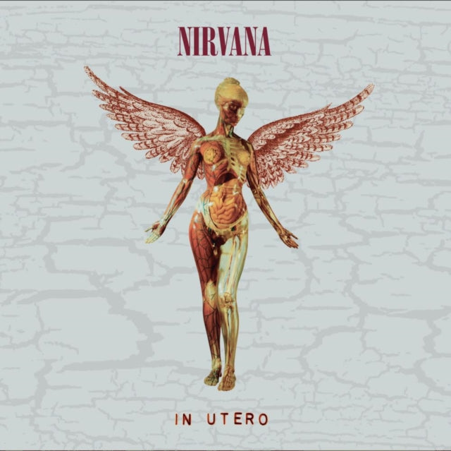 In Utero (30Th Anniversary) (2CD) Music CD