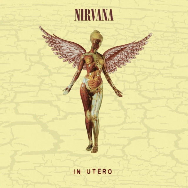 Nirvana - In Utero (30Th Anniversary) (LP/10 Inch) Vinyl Record