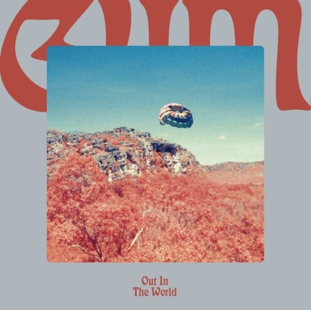 Gum - Out In The World - LP Vinyl Record