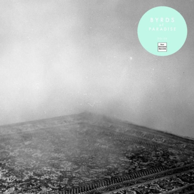 Byrds Of Paradise - Teenage Symphonies - LP Vinyl Record