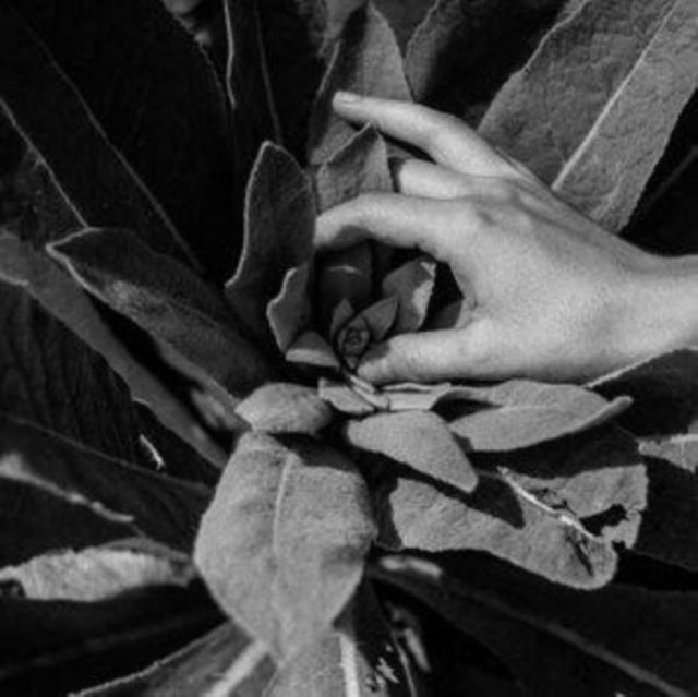 Nanook Of The North - Heide Music CD