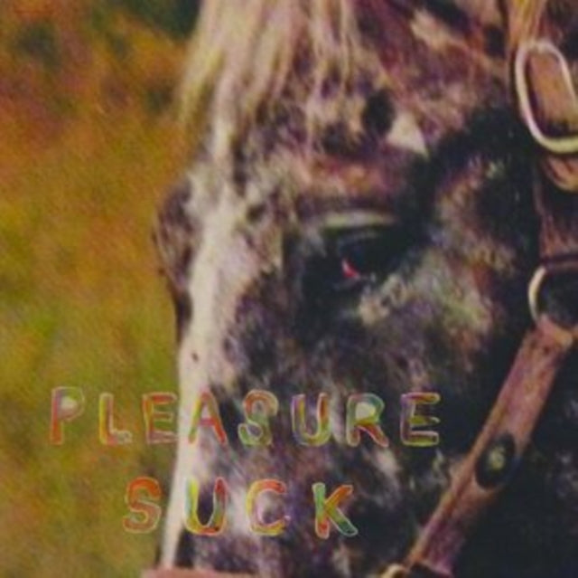 Spirit Of The Beehive - Pleasure Suck (Transparent Orange LP Vinyl) Vinyl Record