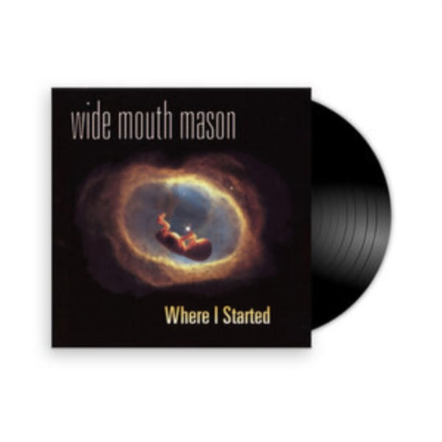 Wide Mouth Mason - Where I Started - LP Vinyl Record