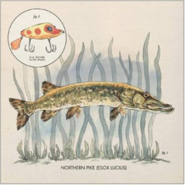 Nick Lowe - Lay It On Me (Dl Card) - LP Vinyl Record