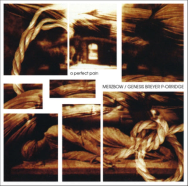 Merzbow / Genesis Breyer P-Orridge - Perfect Pain - LP Vinyl