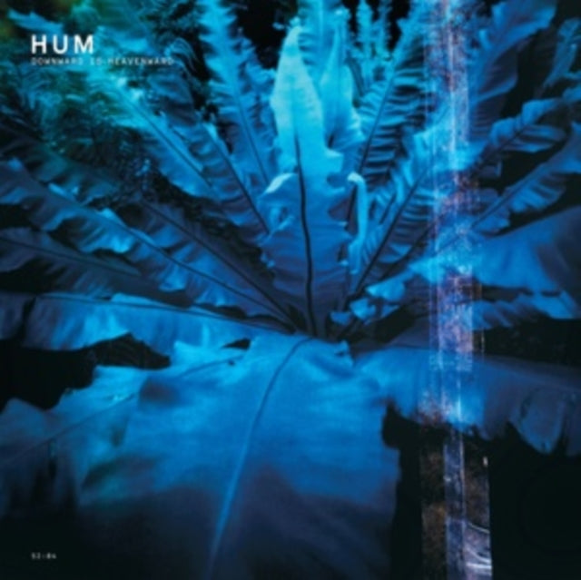 Hum - Downward Is Heavenward (2LP) Vinyl Record
