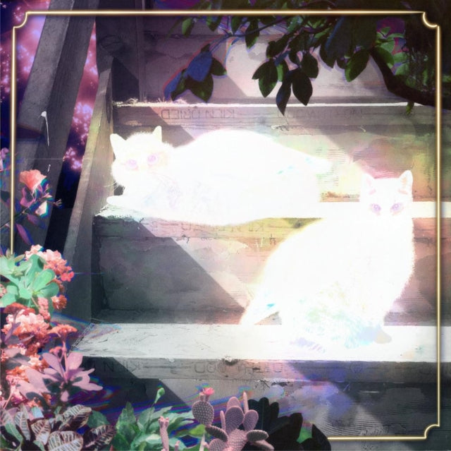 Scary Jokes - Retinal Bloom - LP Vinyl Record