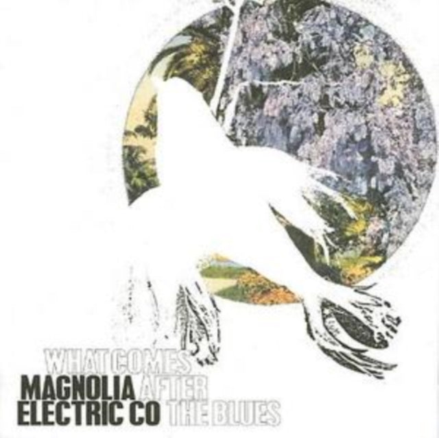 Magnolia Electric Co - What Comes After The Blues Music CD