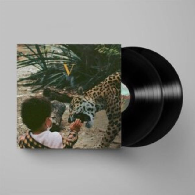 Unknown Mortal Orchestra - V (2LP) Vinyl Record