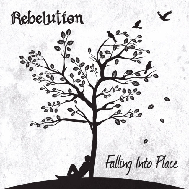 Falling Into Place Vinyl Record