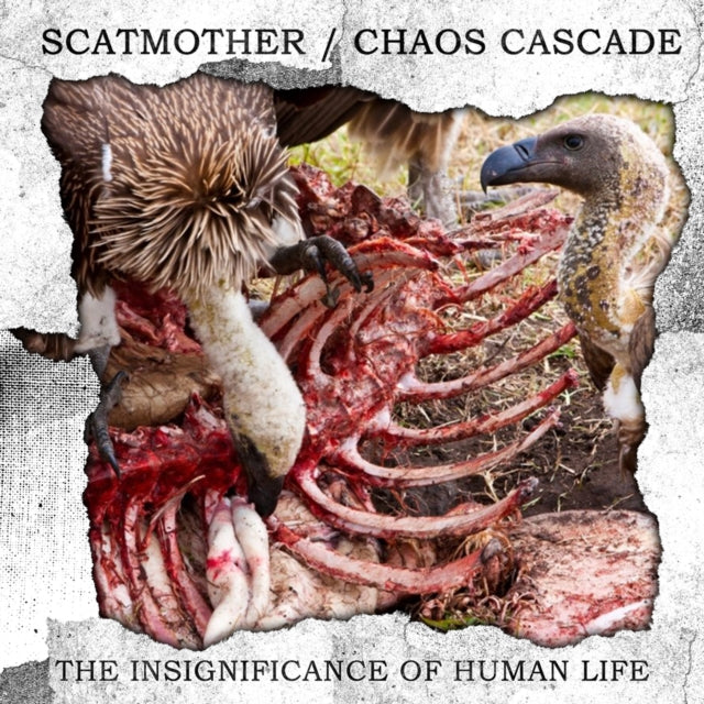 Scatmother & Chaos Cascade - Insignificance Of Human Life Music CD