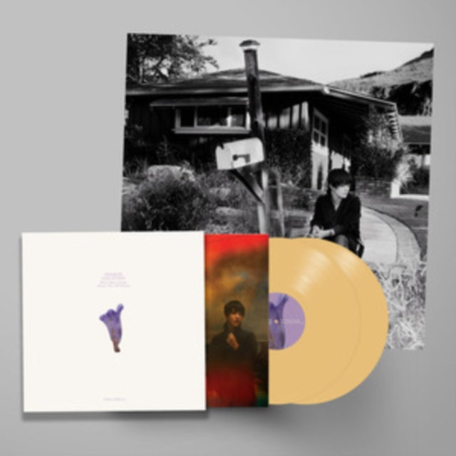 Sharon Van Etten - We've Been Going About This All Wrong (Deluxe Edition/Custard Vinyl/2LP) Vinyl Record