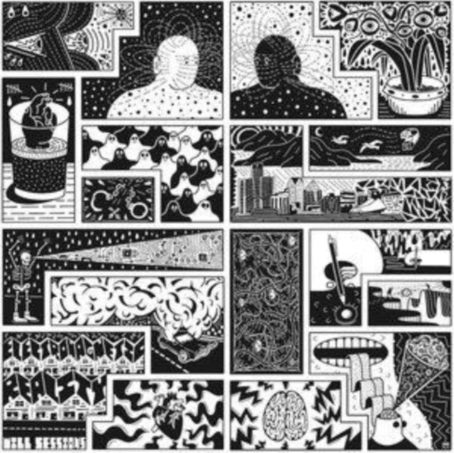 Will Sessions - Electromagnetic Reality - LP Vinyl Record