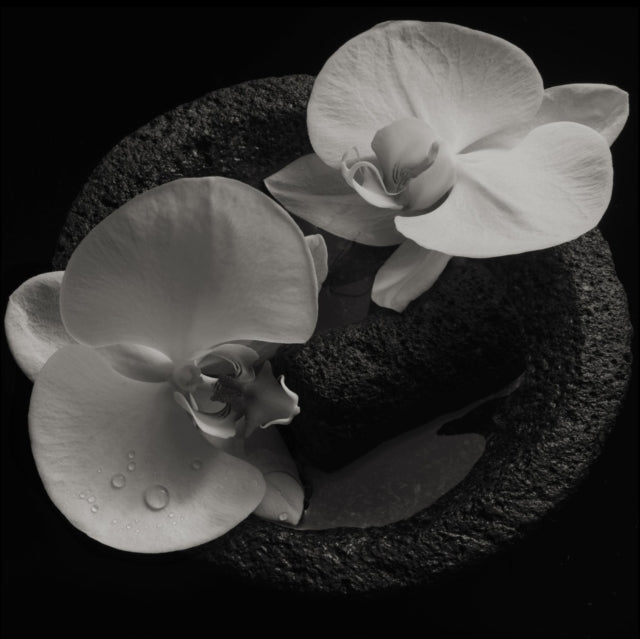 Corpse Flower Vinyl Record
