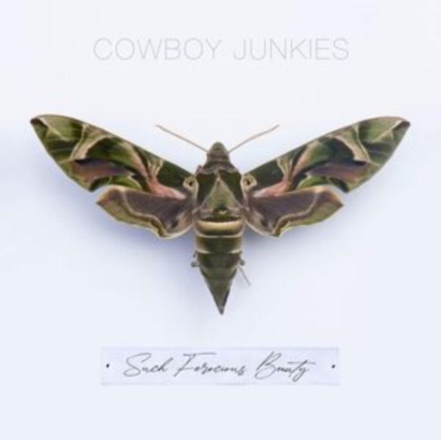 Cowboy Junkies - Such Ferocious Beauty Music CD