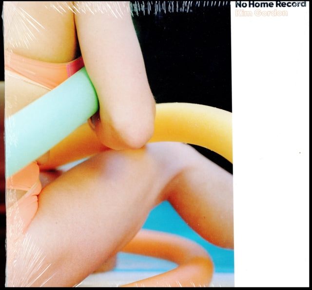 No Home Record Vinyl Record