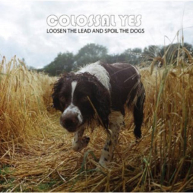 Colossal Yes - Loosen The Lead & Spoil The Dogs - LP Vinyl Record