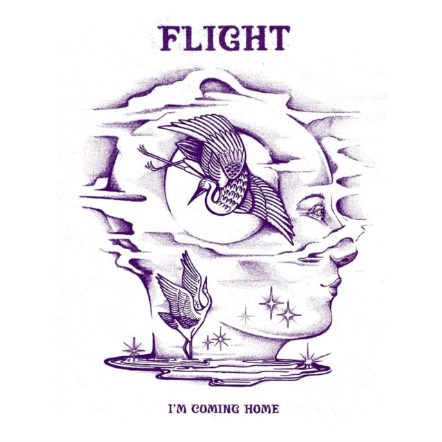 I’M Coming Home Vinyl Record