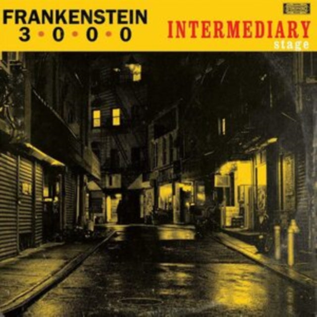 Intermediary Stage Vinyl Record