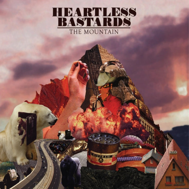Mountain Vinyl Record