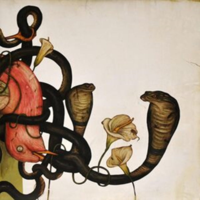 Rival Sons - Head Down Music CD