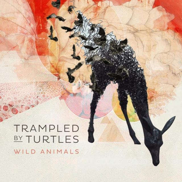 Trampled By Turtles - Wild Animals - LP Vinyl Record