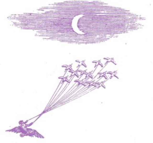 Migration Magic Vinyl Record