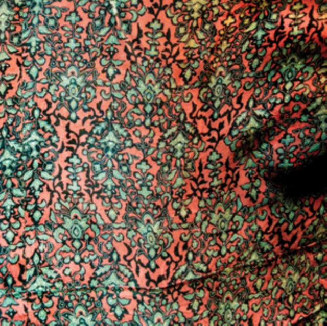 Jaimie Branch - Fly Or Die Live (2LP) Vinyl Record