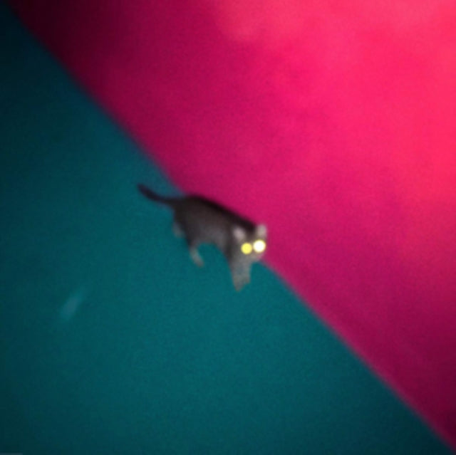 !!! (Chk Chk Chk) - Wallop (2LP/Dl Card) Vinyl Record