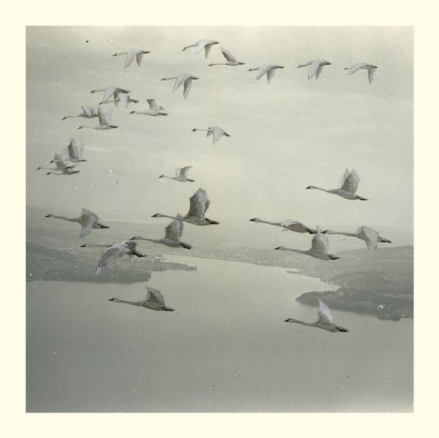 Snow Ghosts - And The World Was Gone - 12 Inch Vinyl Record