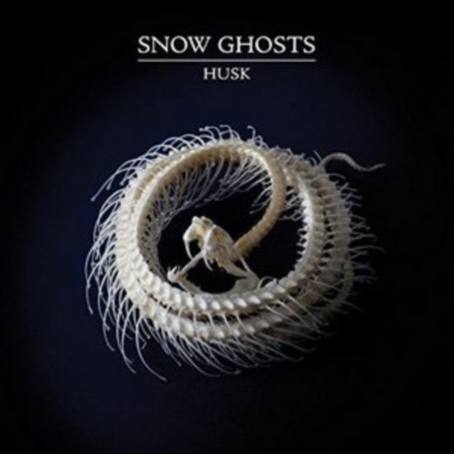 Snow Ghosts - Husk - 12 Inch Vinyl
