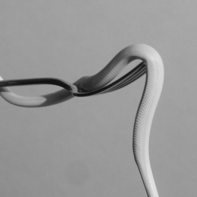 Animals As Leaders - Parrhesia (Opaque Baby Pink) - LP Vinyl Record