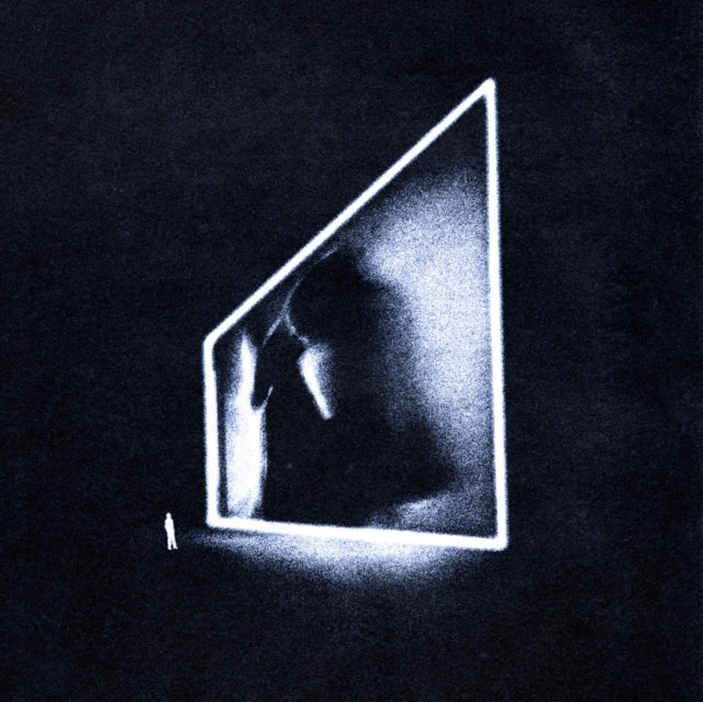 Maybe In Another Life Vinyl Record