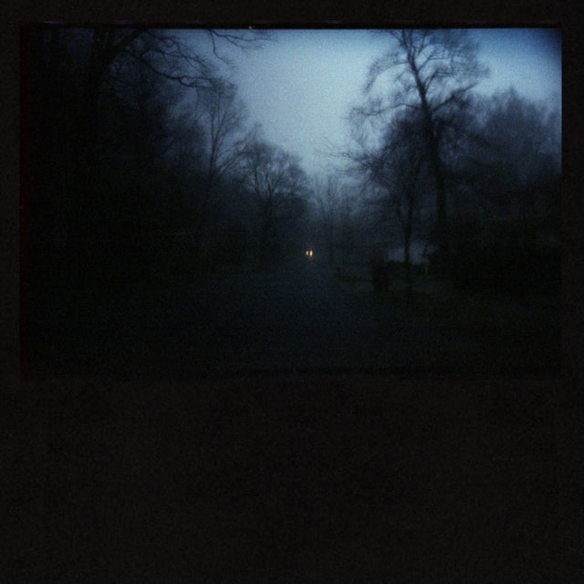 American Pleasure Club - Fucking Bliss (Dark Blue & White Swirl) - LP Vinyl Record