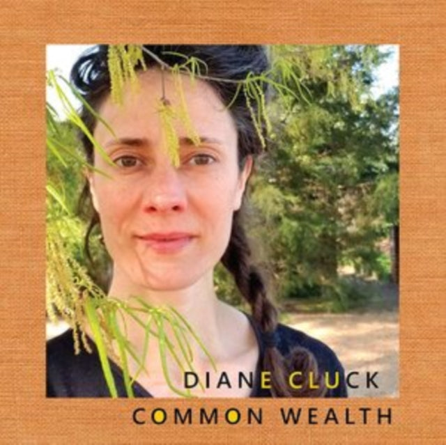 Diane Cluck - Common Wealth - LP Vinyl Record