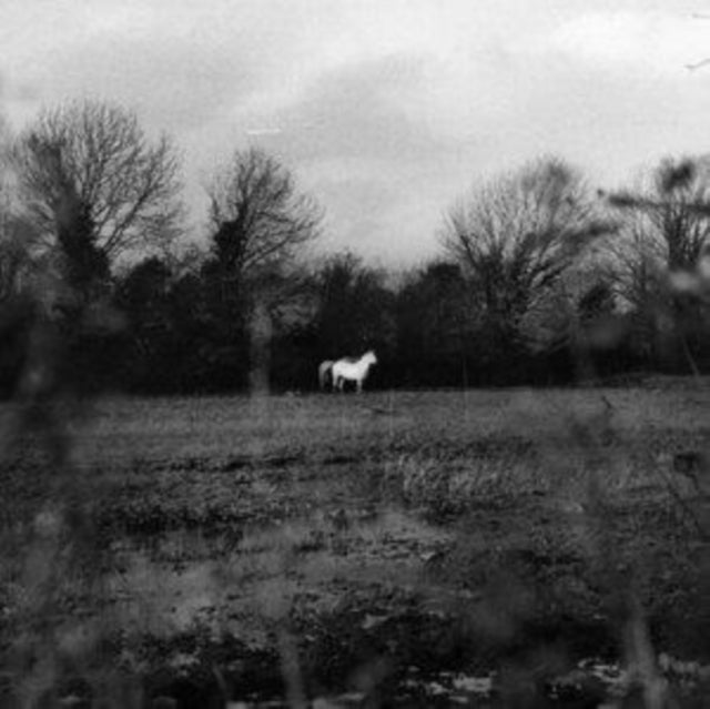 Flatsound - When You Run Away, Do You Close Your Eyes - LP Vinyl Record